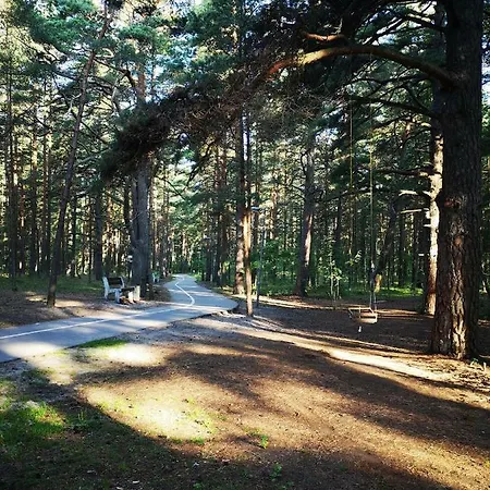 Near The Forest